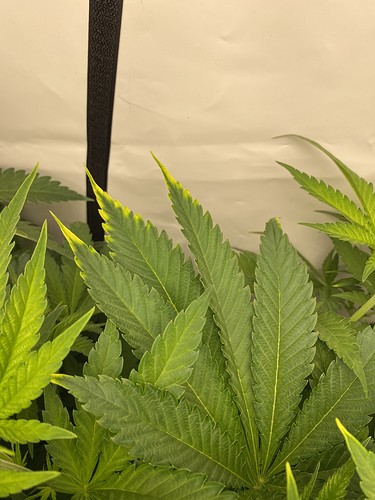 Growreport Bild 16