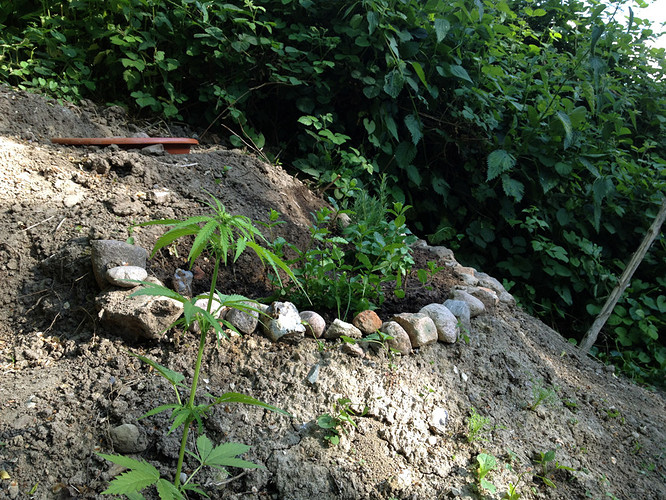 Growreport Bild 9