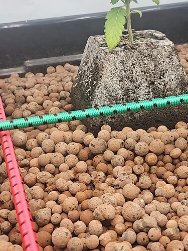 Growreport Bild 9