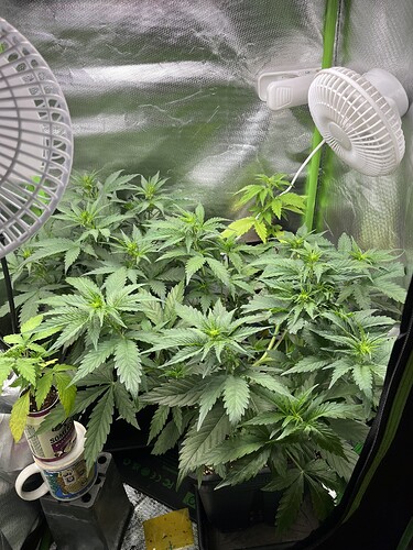 Growreport Bild 11