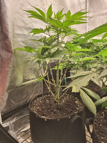 Growreport Bild 14