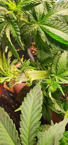 Growreport Bild 3