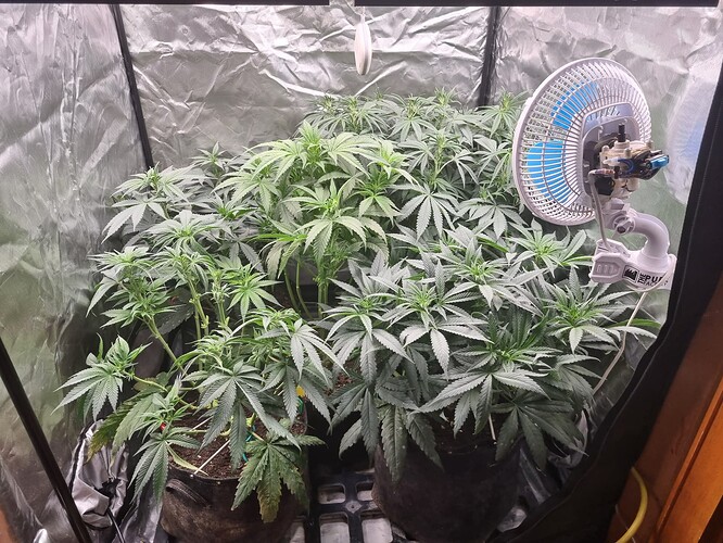 Growreport Bild 3