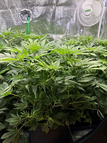Growreport Bild 12