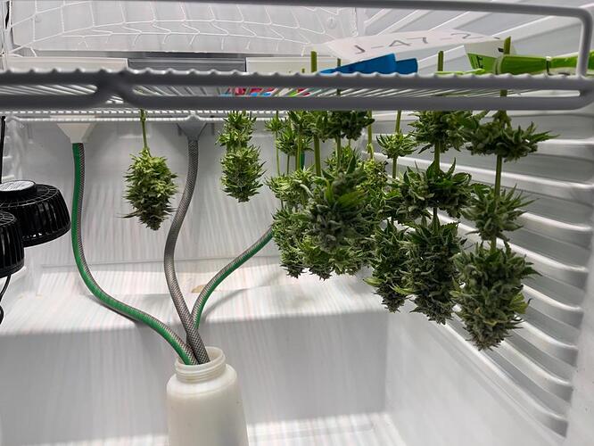 Growreport Bild 4