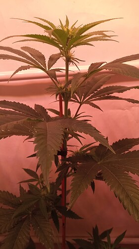 Growreport Bild 10