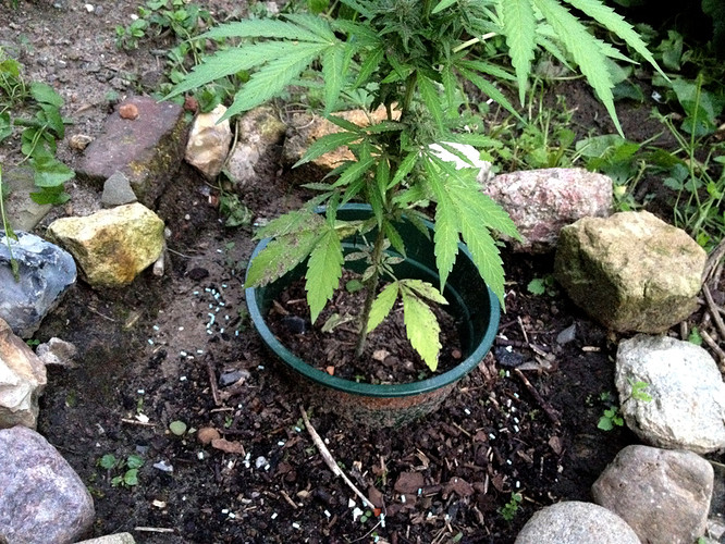 Growreport Bild 18