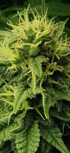Growreport Bild 22