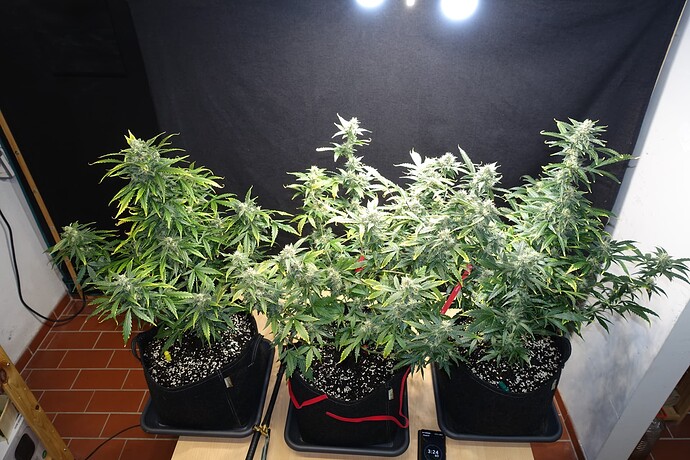 Growreport Bild 21