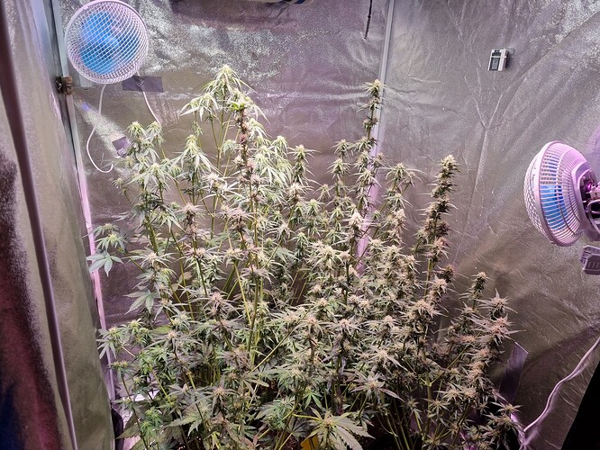 Growreport Bild 20