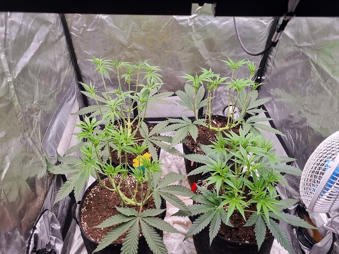 Growreport Bild 18
