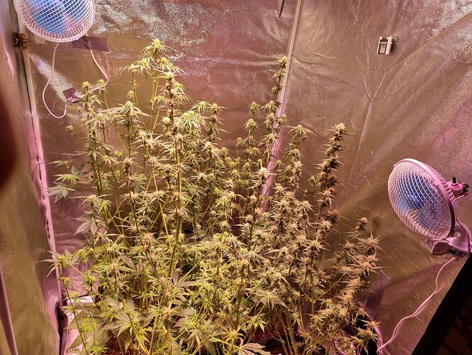 Growreport Bild 13