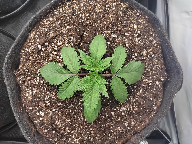 Growreport Bild 21