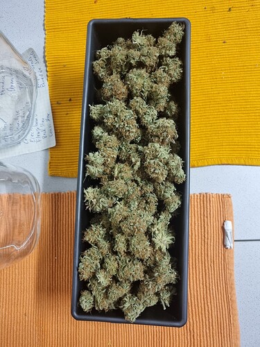 Growreport Bild 7