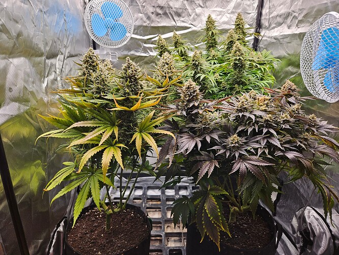 Growreport Bild 8