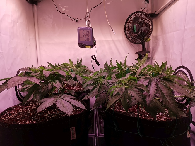 Growreport Bild 11
