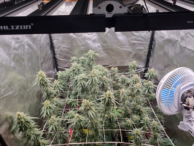 Growreport Bild 4