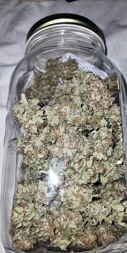 Growreport Bild 20