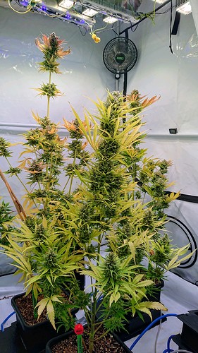 Growreport Bild 8