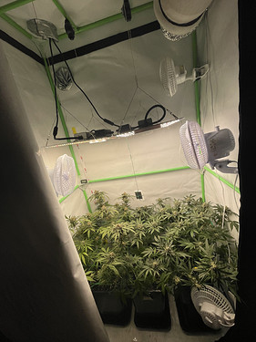 Growreport Bild 2