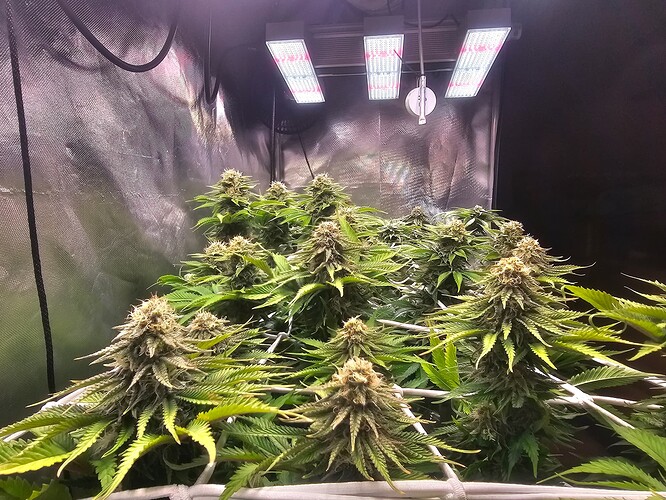Growreport Bild 12
