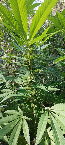 Growreport Bild 11