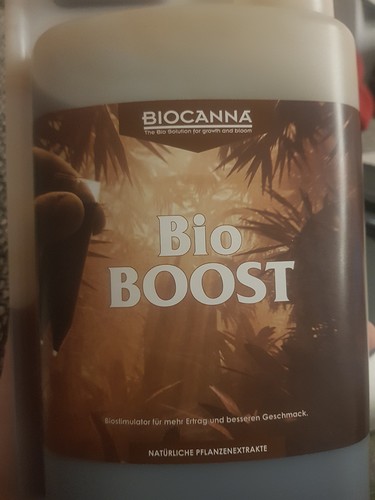 Growreport Bild 10