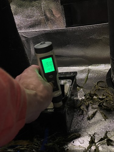 Growreport Bild 5