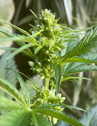 Growreport Bild 14