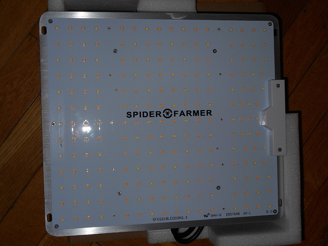 Growreport Bild 4