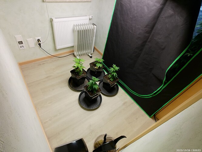 Growreport Bild 24