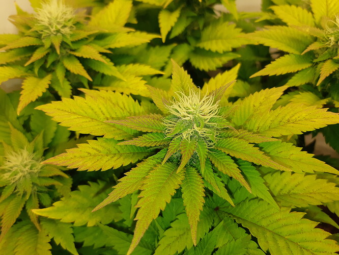 Growreport Bild 17