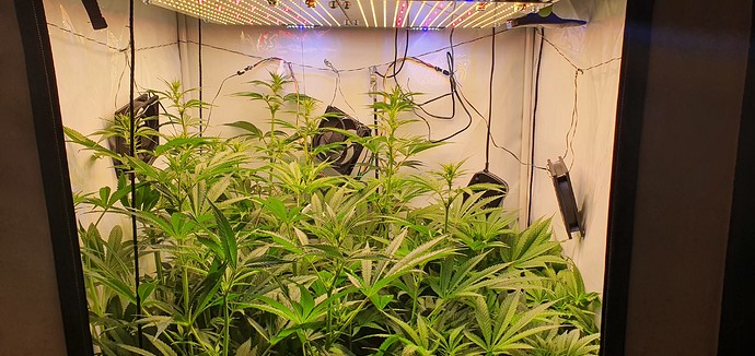Growreport Bild 2