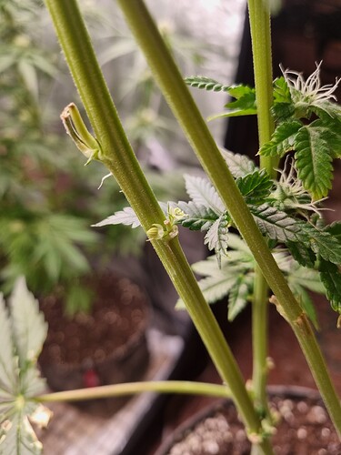 Growreport Bild 7