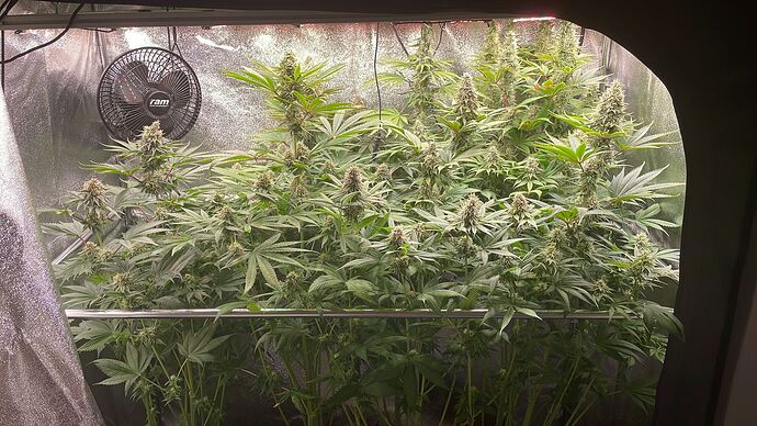 Growreport Bild 1