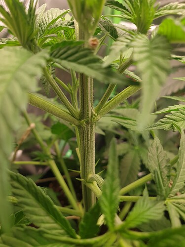 Growreport Bild 6