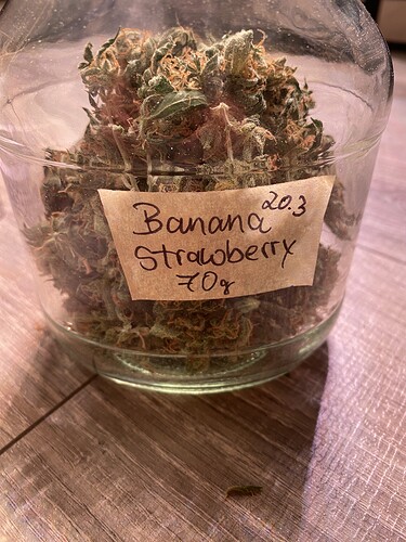 Growreport Bild 5