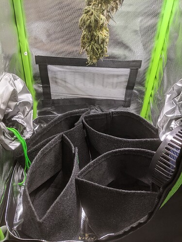 Growreport Bild 1