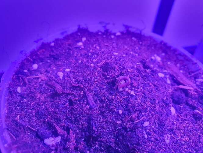 20231014_105857 - Kopie