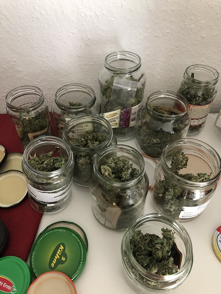 1. Growreport Cookies and moby Dick