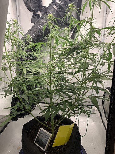 Growreport Bild 17