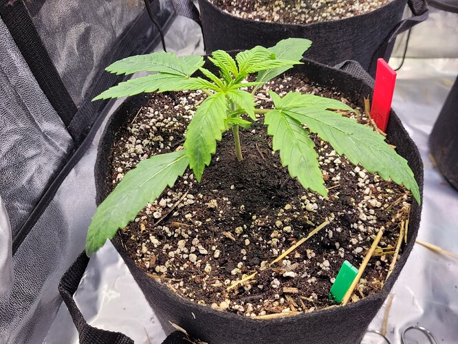 Growreport Bild 9