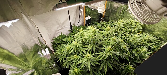 Growreport Bild 2