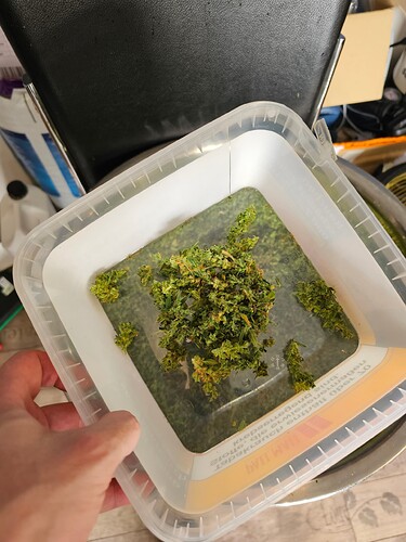 Growreport Bild 3