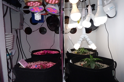 Growreport Bild 10