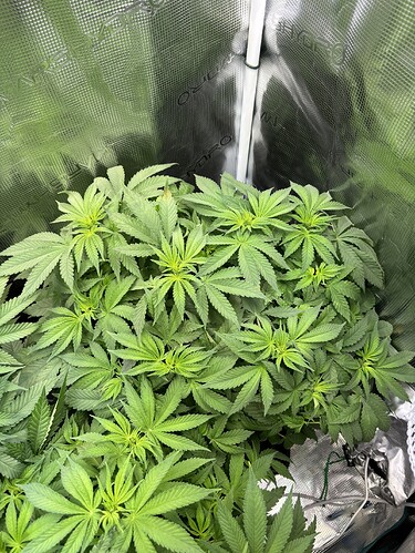 Growreport Bild 10