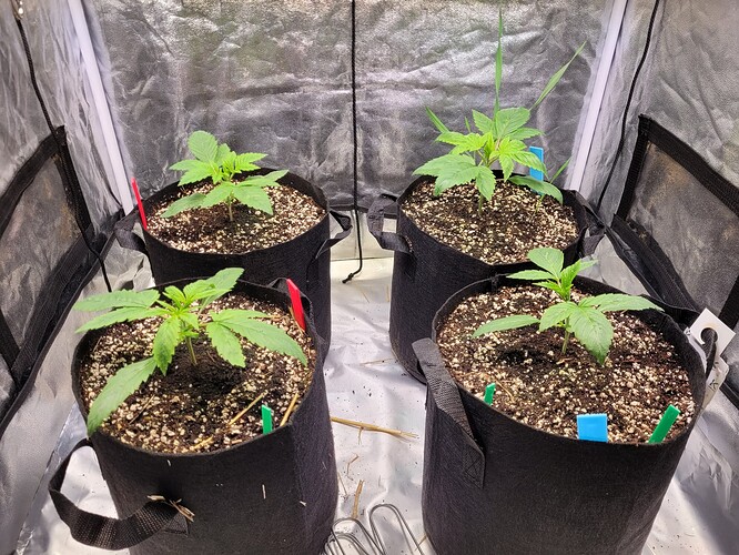 Growreport Bild 1