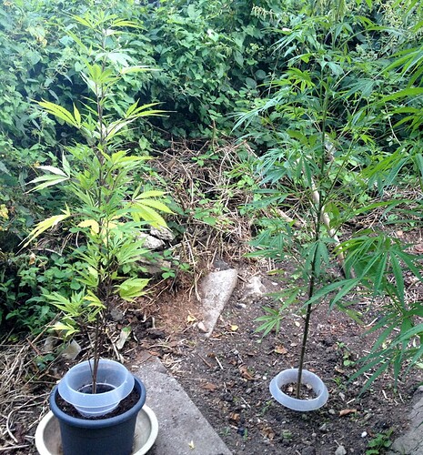 Growreport Bild 11