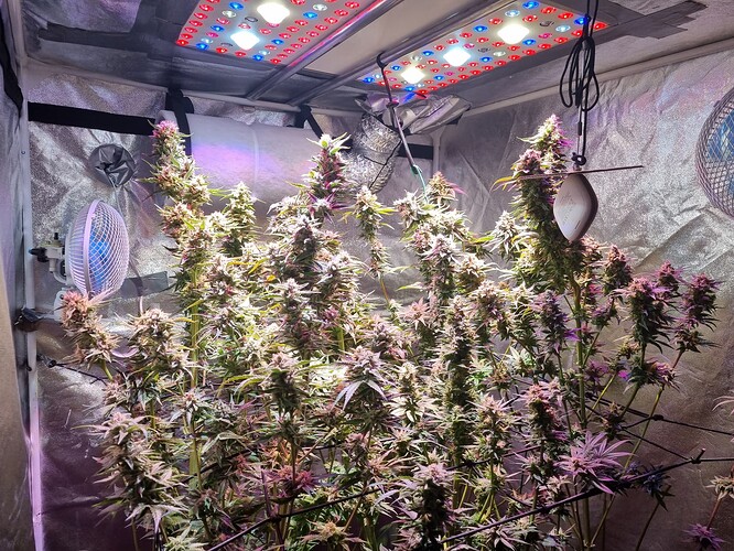 Growreport Bild 30