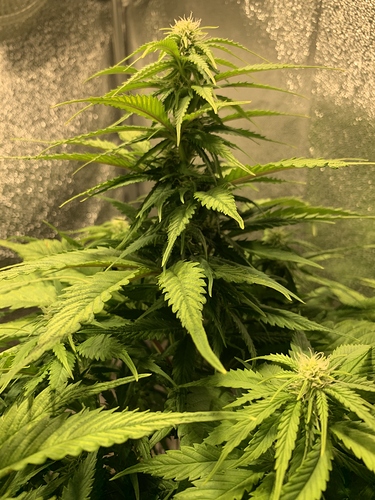 Growreport Bild 2